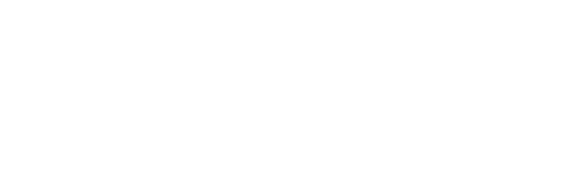 Logo Corporación NEWEN